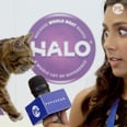 We Sent Someone Who Hates Cats to CatCon
