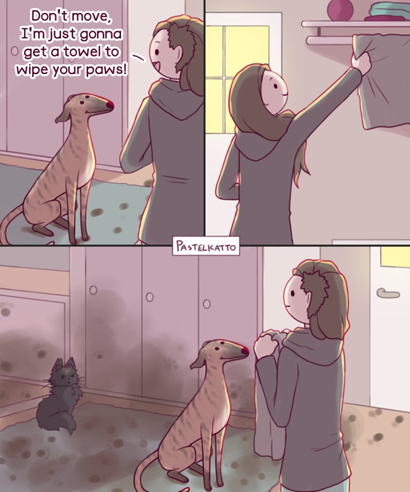 Artist's Comics on What It's Like to Have a Cat or Dog