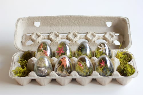 Easter Egg Terrariums Easter Egg Terrariums