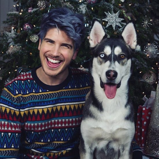 Joey Graceffa Christmas Photos 2021 Joey Graceffa S Dog Wolf Popsugar Pets