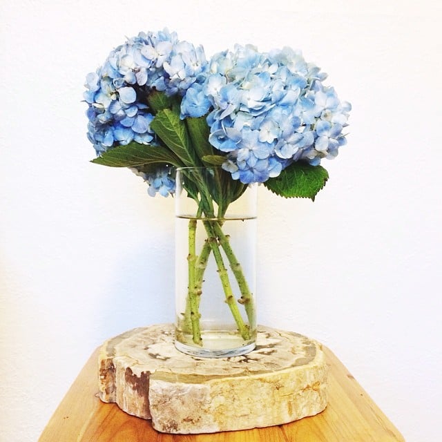 With large flowers like hydrangeas, you only need a couple to fill out a vase. 
Source: Instagram user natalie_dressed
