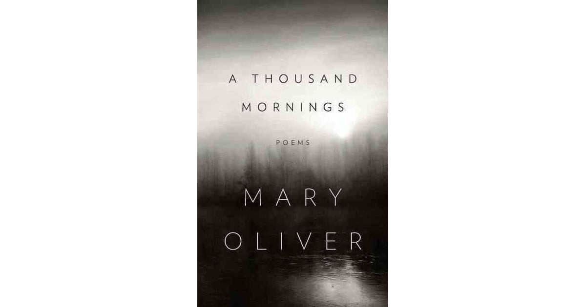 A Thousand Mornings | Cheap Gifts For College Students ...