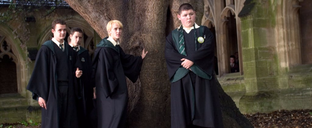 Harry Potter Actor Becomes MMA Fighter