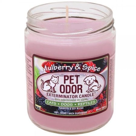 Pet Odor Exterminator Candle