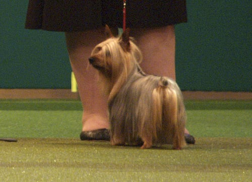 Image Image