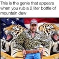 The Only Thing Better Than Netflix's Tiger King Docuseries Is the Memes It's Inspired