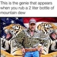 The Only Thing Better Than Netflix's Tiger King Docuseries Is the Memes It's Inspired