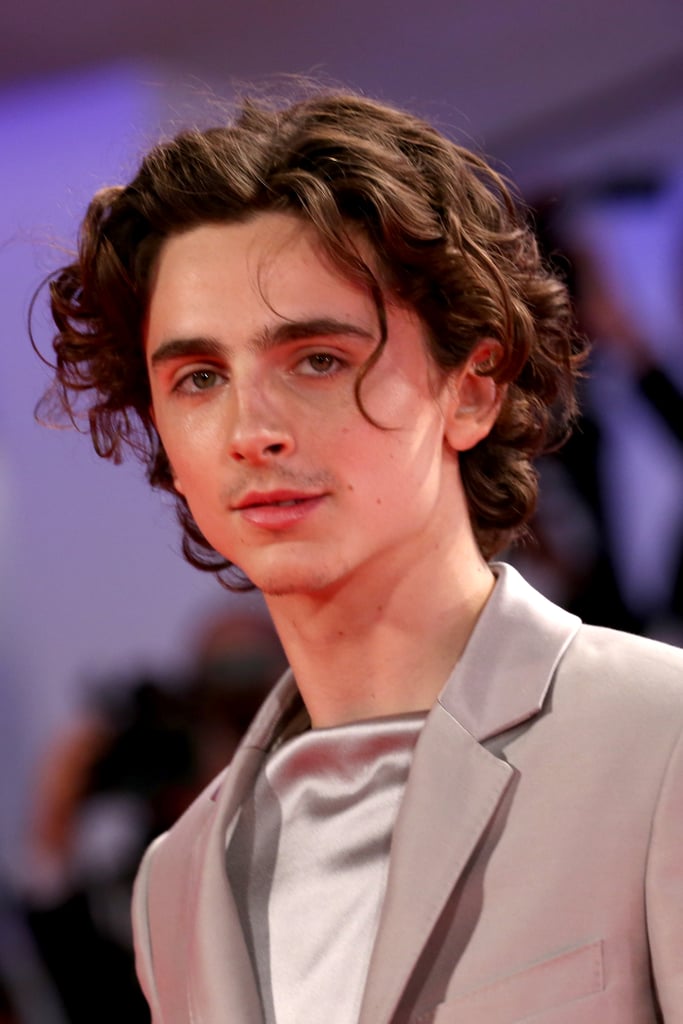 timothée chalamet funko pop