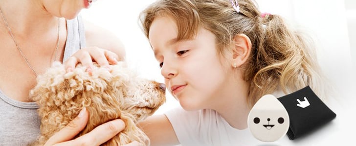 Pet Tracker App