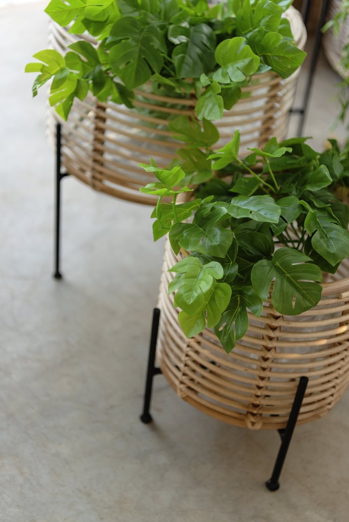 Wayfair Zyaire Rattan Pot Planter