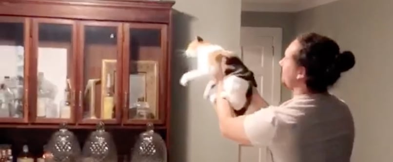 Man Helps Cat Catch a Moth | Video