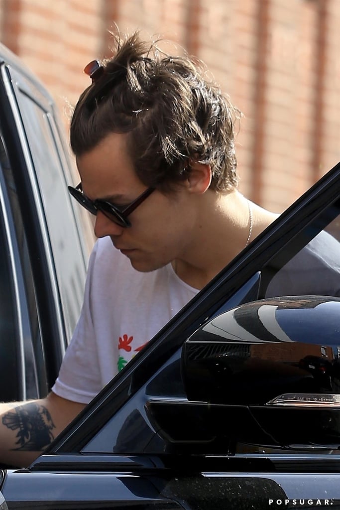 Harry Styles Wearing Hair Clip in LA 2018 Harry Styles Wearing Hair Clip in LA 2018