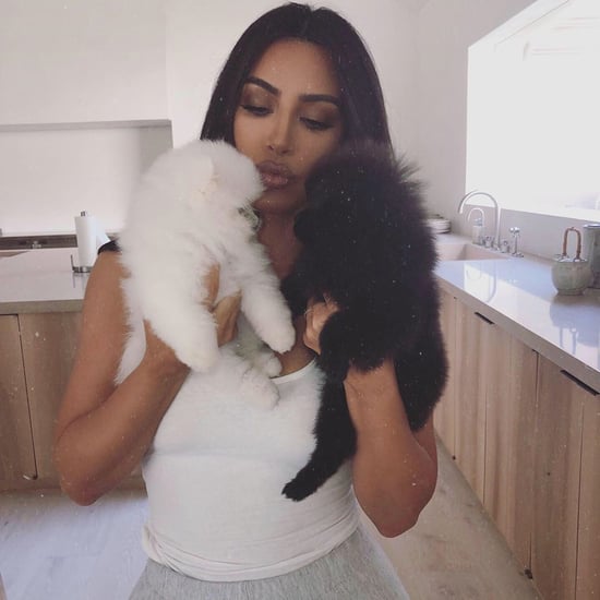 Kim Kardashian Adds 2 Pomeranian Puppies to Her Family