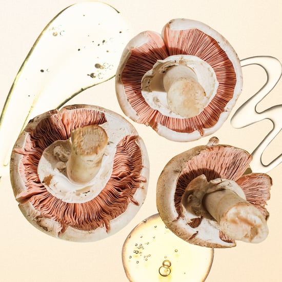 Mushrooms in Beauty: Benefits, Applications, and More