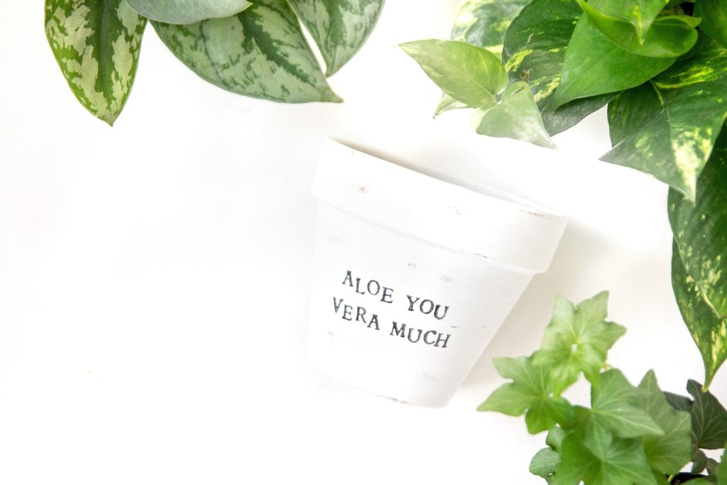 Aloe You Vera Much Pot