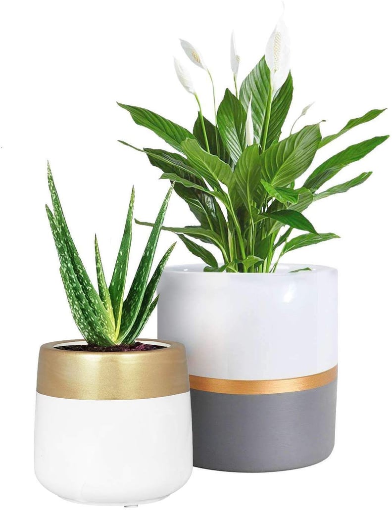 Ceramic Planter Pots Indoor