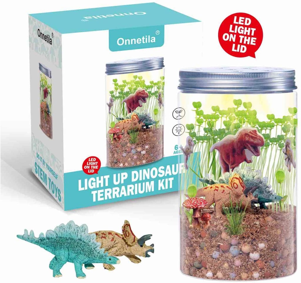 Dinosaur Fairy Garden in a Jar Light Up Terrarium Kit Best