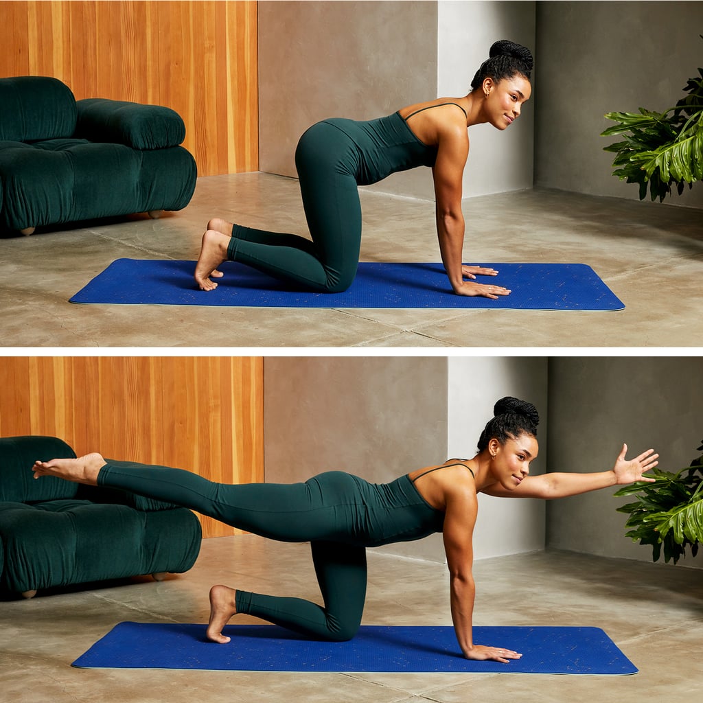 Core Stability Exercise: Bird Dog Core Stability Exercise: Bird Dog