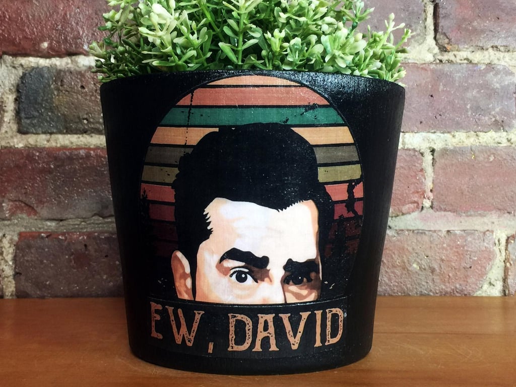 Schitt's Creek: Ew David PotHead Planter