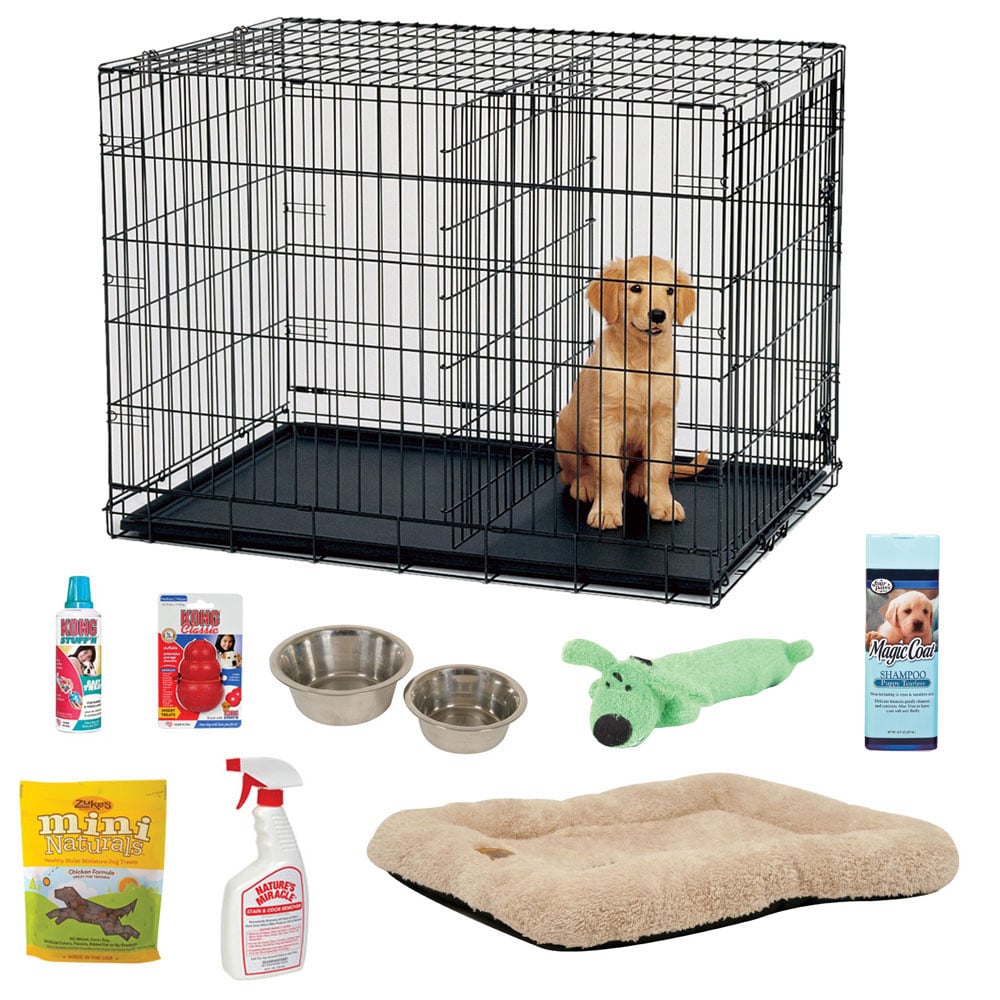 The Best Pet Products For March POPSUGAR Pets
