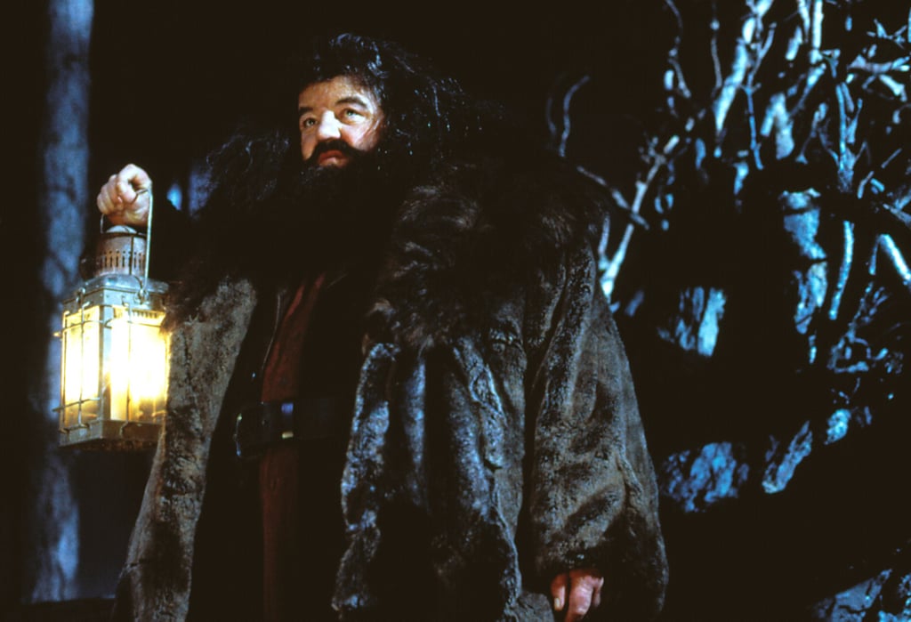 Newt Scamander and Hagrid Theory POPSUGAR Tech