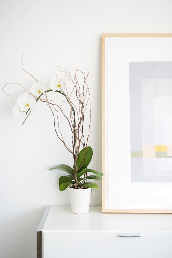 Personalize It With Intriguing Accents