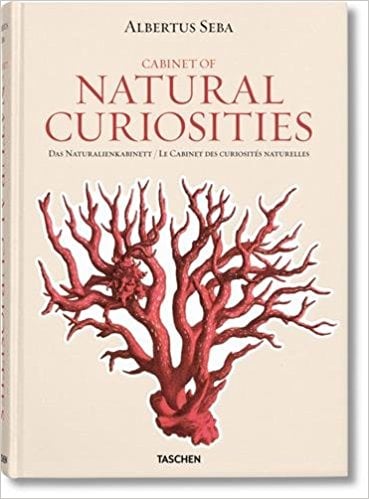 Cabinet of Natural Curiosities by Albertus Seba