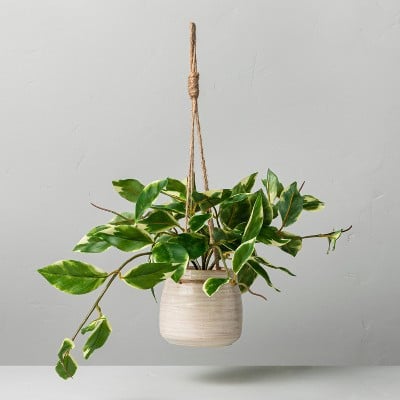 Hearth and Hand with Magnolia 8" Faux Variegated Hoya Leaf Hanging Plant