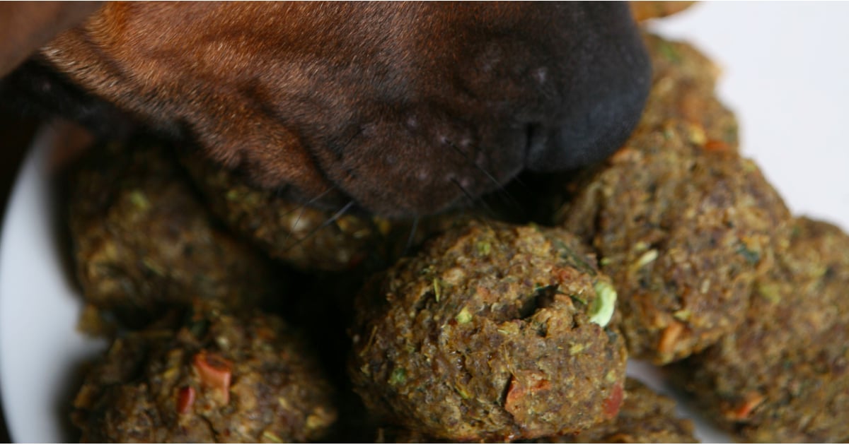 DogFriendly Meatball Recipe POPSUGAR Pets