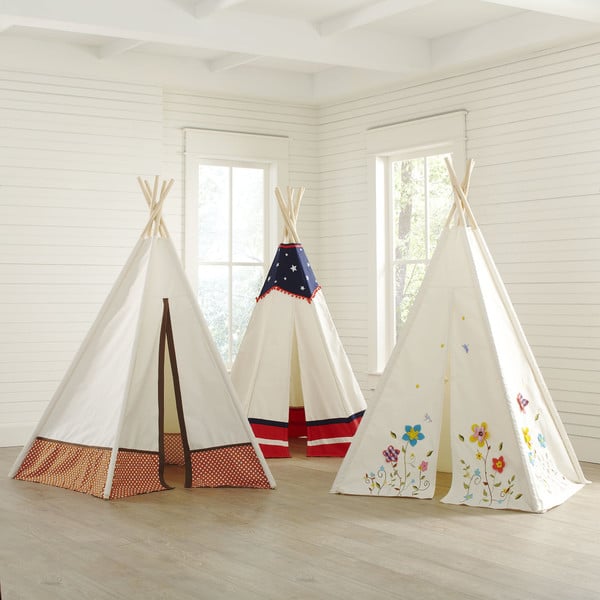 Birch Lane Great Plains Teepee