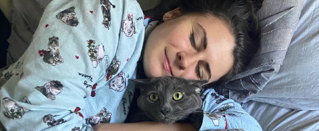 The Best Unflattering Cat Photo Challenge Pictures