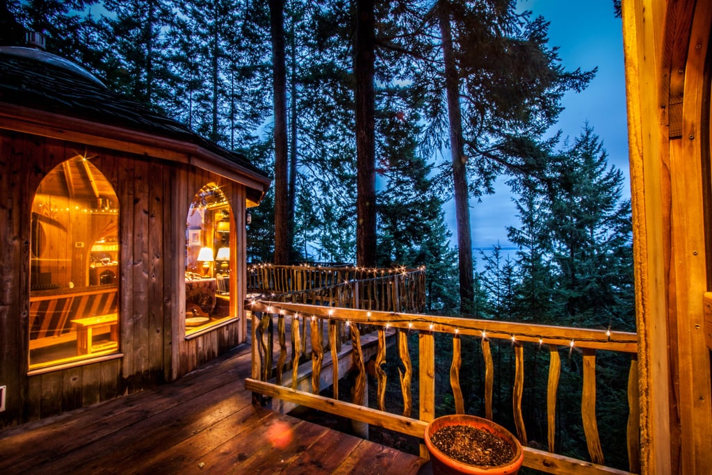 Tree House Rental in Washington