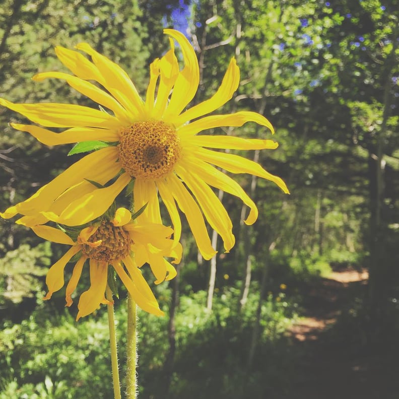 Hike a new trail and snap photos of nature.