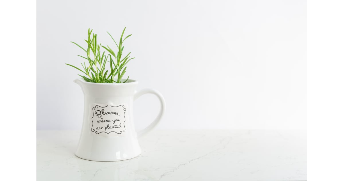Rosemary Plants That Reduce Stress POPSUGAR Home Photo 3