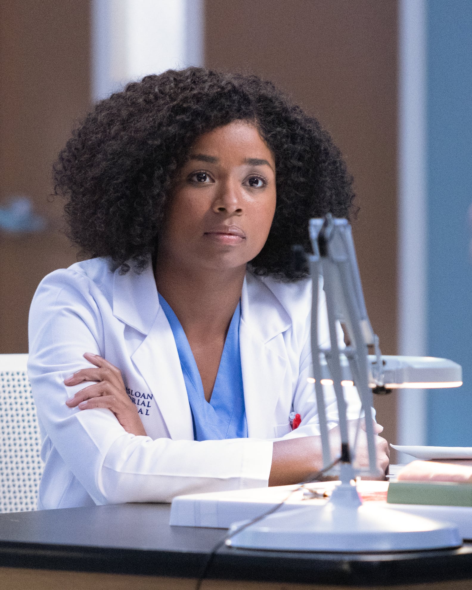Grey's Anatomy Season 19: New and Returning Cast | PS Entertainment