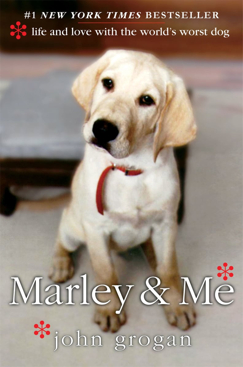 Marley & Me by Josh Grogan