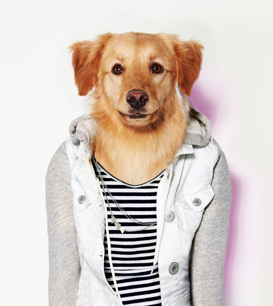Bonnie American Eagle Dog Clothes Line Popsugar Fashion Photo 14
