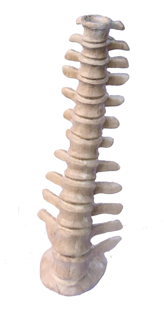 Spine Candle Holder