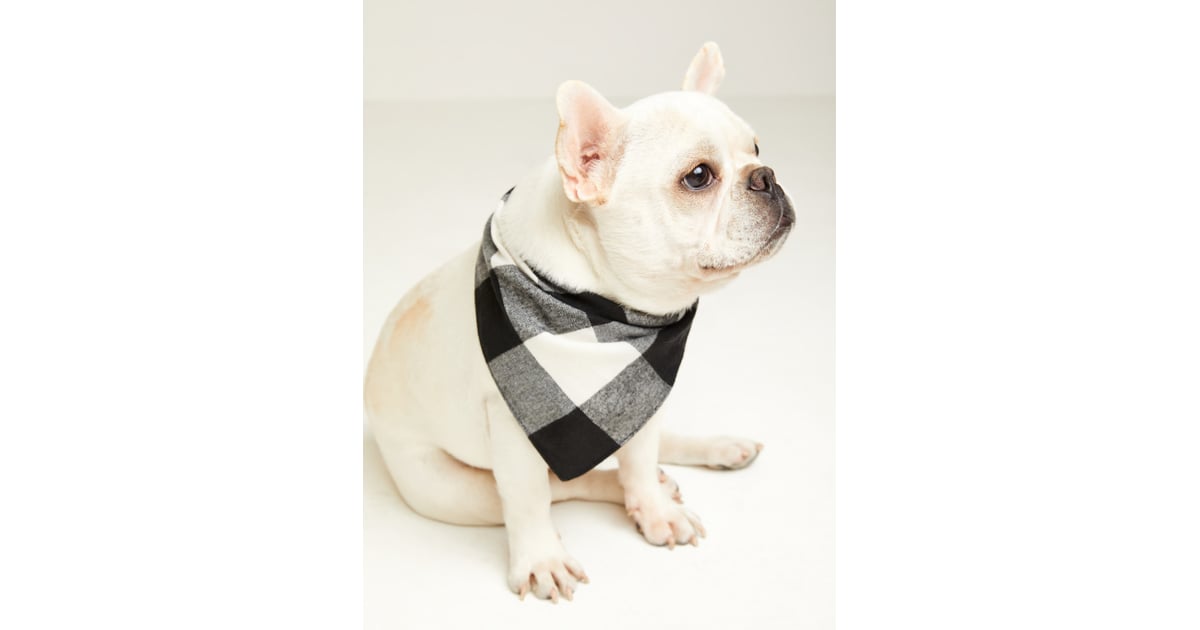 Patterned Flannel Pet Bandana Old Navy Dog Clothes POPSUGAR UK Pets