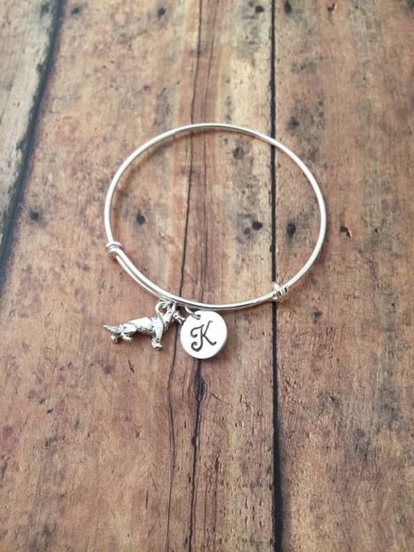 Pawsitive vibes alex and ani new arrivals