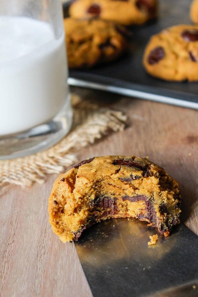 Chocolate Chip Pumpkin Vegan Cookies