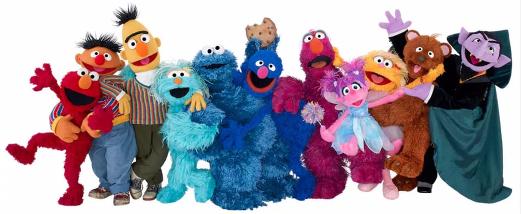Which Sesame Street Character Are You?