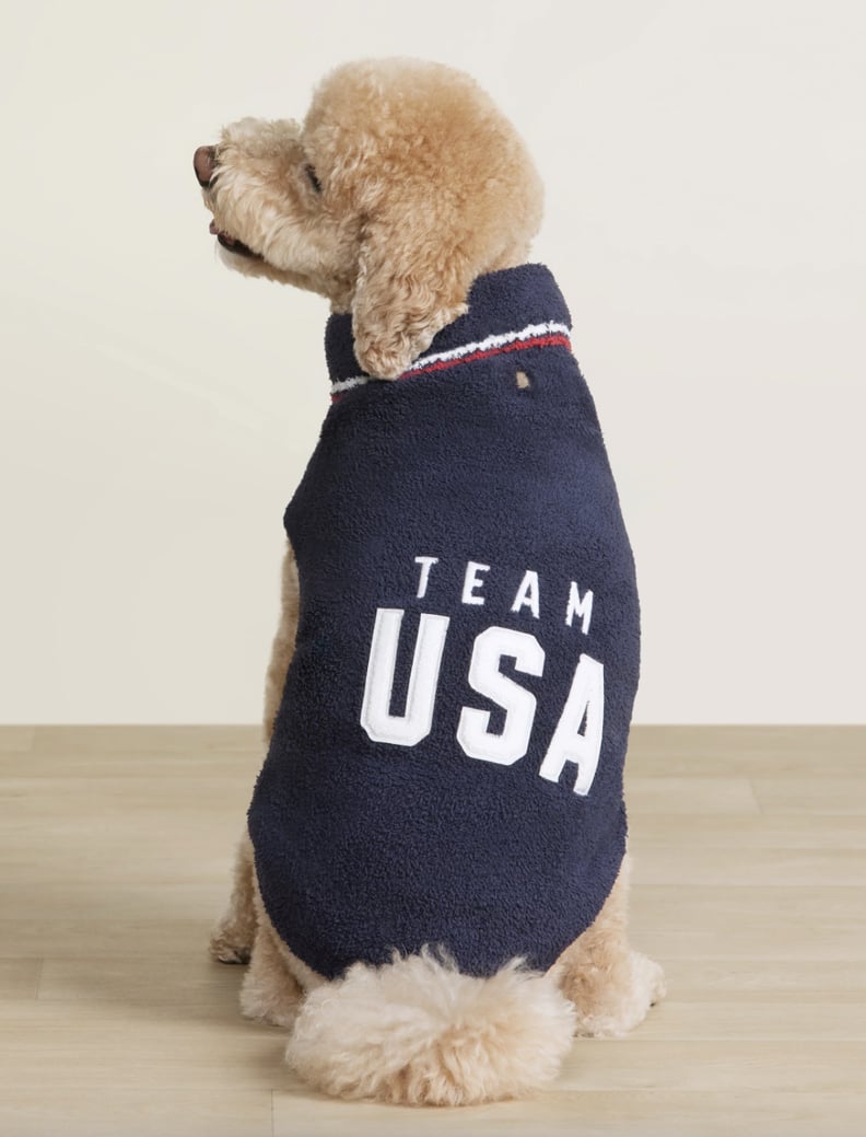 A Team USA Pet Sweater