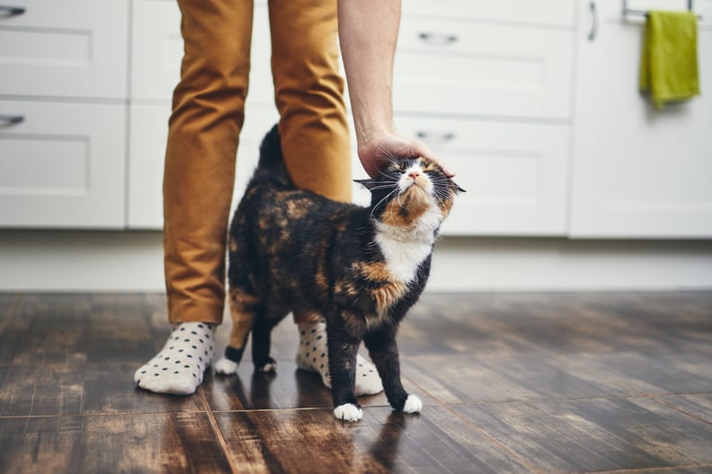 Ways to keep litter box from smelling store