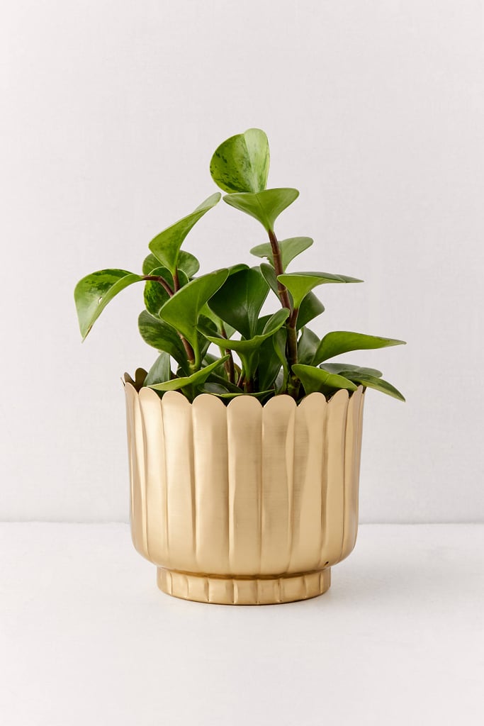 Viola Metal Planter