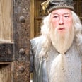 The Wizard J.K. Rowling Said Dumbledore Was in Love With Will Shock You