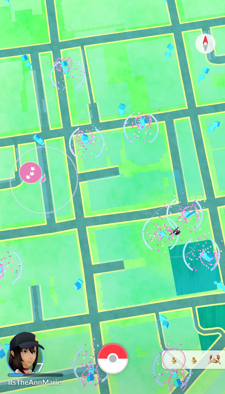 In "View" mode, you'll see an aerial shot of where the Pokémon is.