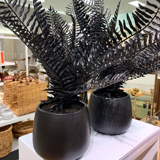 Target Has All-Black Ferns Perfect For Halloween Decorating