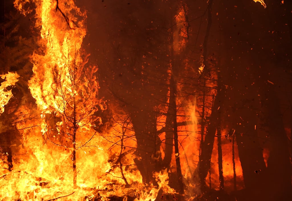Sacramento Wildfire September 2014 | Pictures