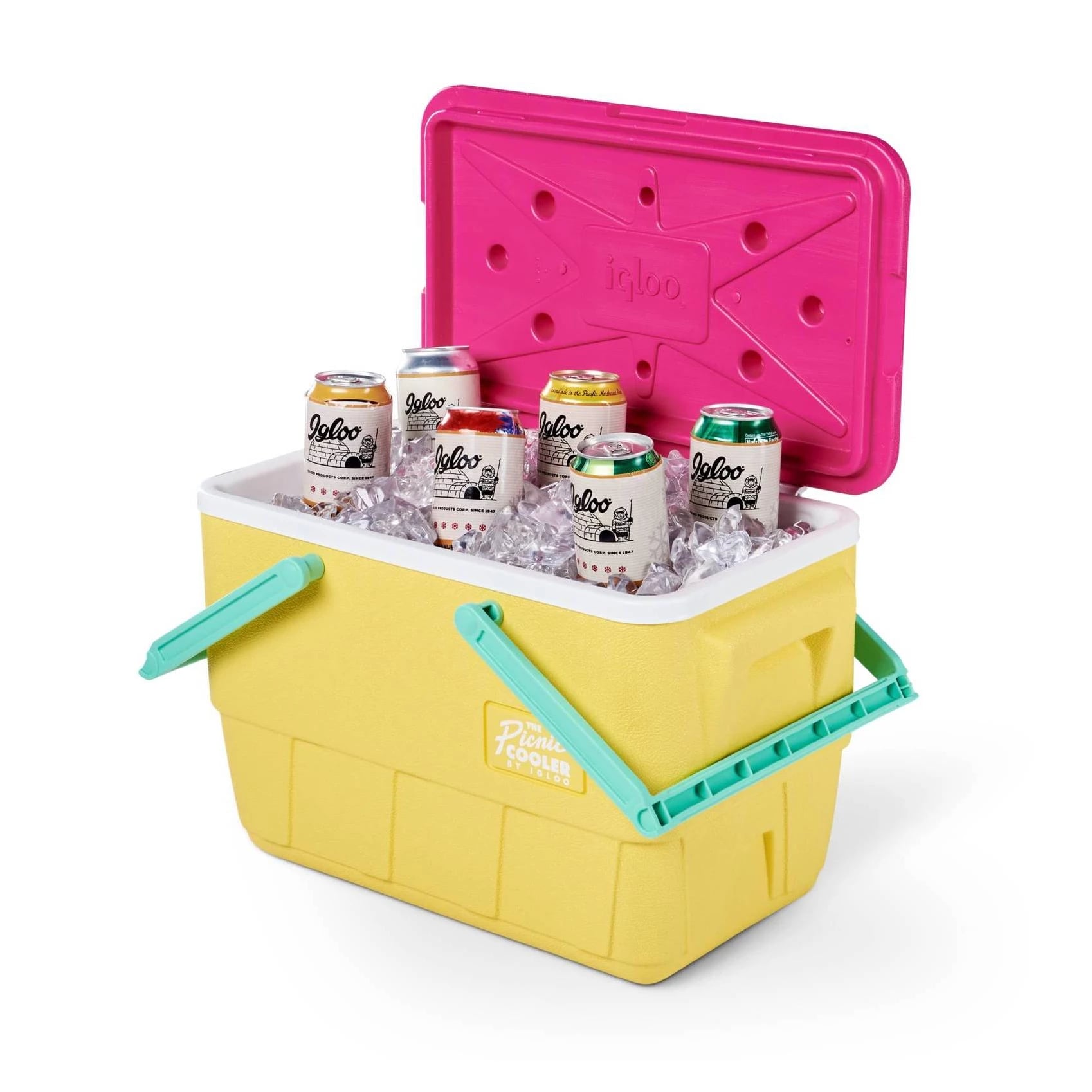 igloo picnic cooler